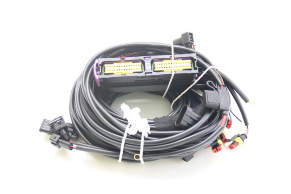 STAG 300 Plus 6 Zylinder Kabelbaum